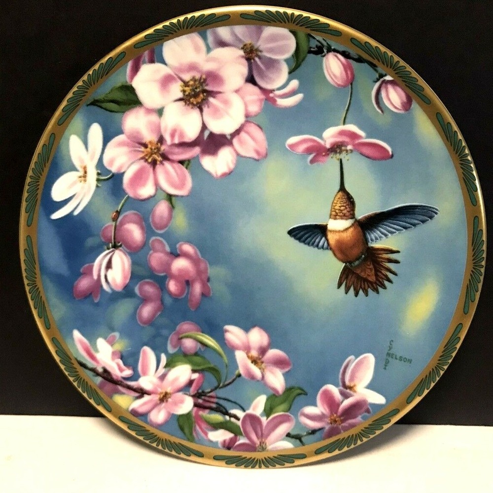 Rufous Hummingbird and Apple Blossoms - Cyndi Nelson - Plate #2701A